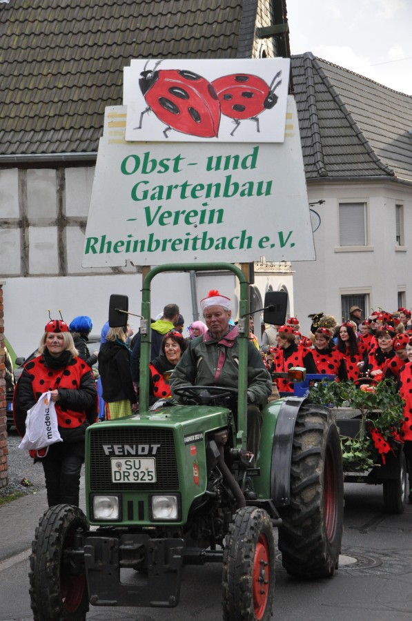 Foto Karnevalszug 2016
