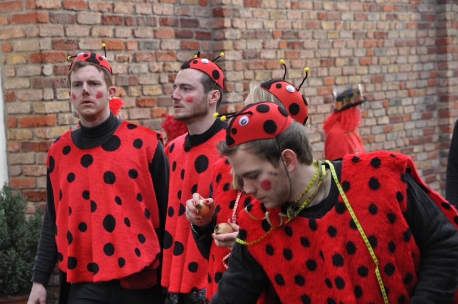 Foto Karnevalszug 2016