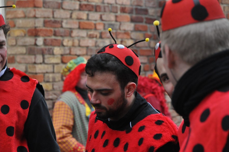 Foto Karnevalszug 2016