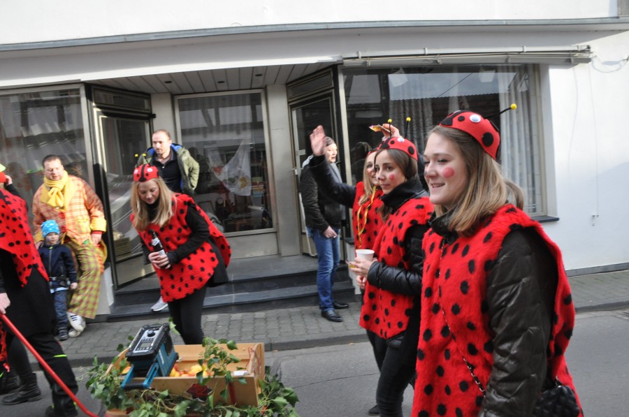 Foto Karnevalszug 2016