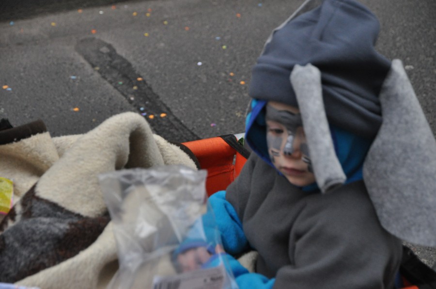 Foto Karnevalszug 2016