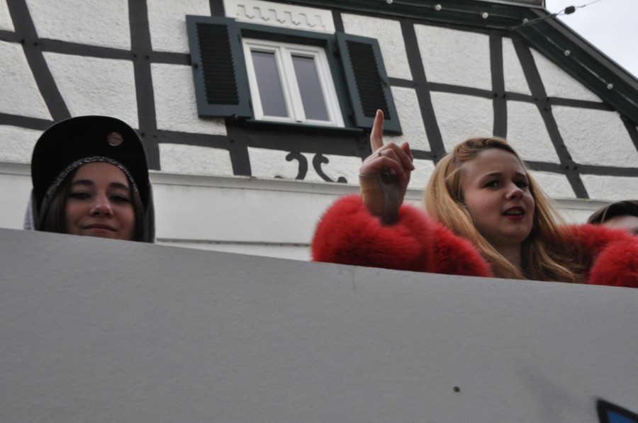 Foto Karnevalszug 2016