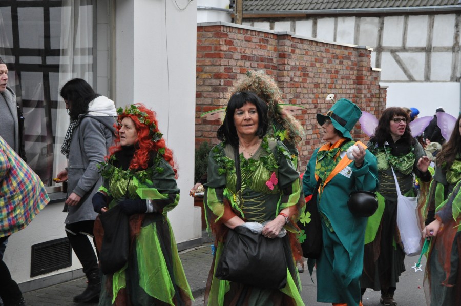 Foto Karnevalszug 2016