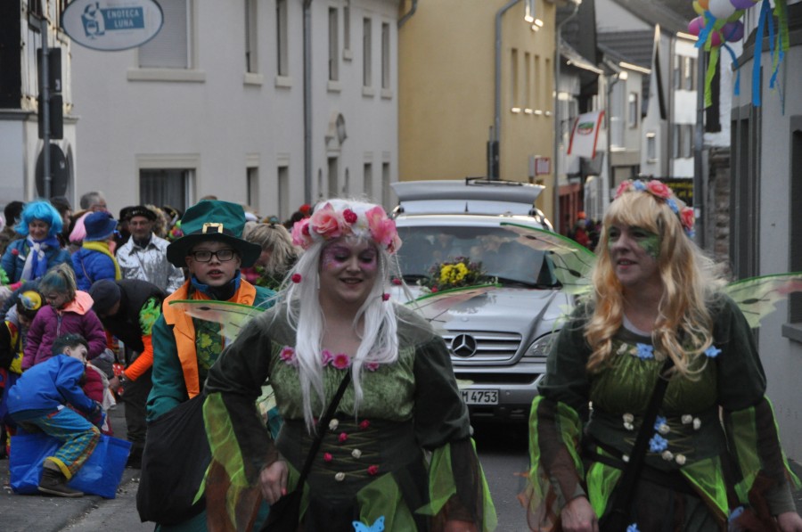 Foto Karnevalszug 2016