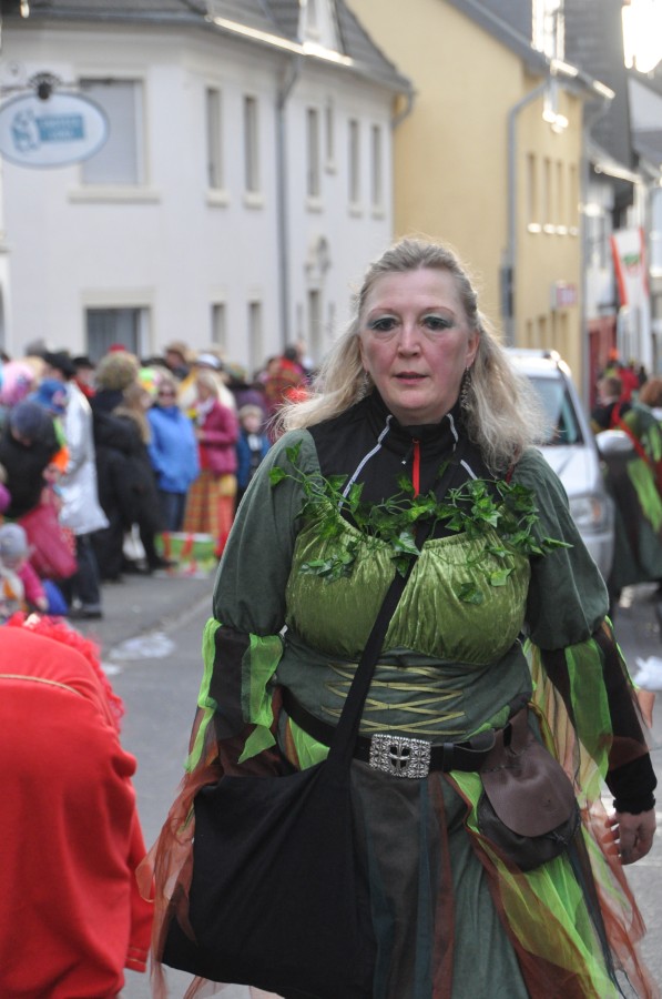 Foto Karnevalszug 2016