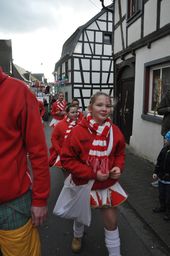 Foto Karnevalszug 2016