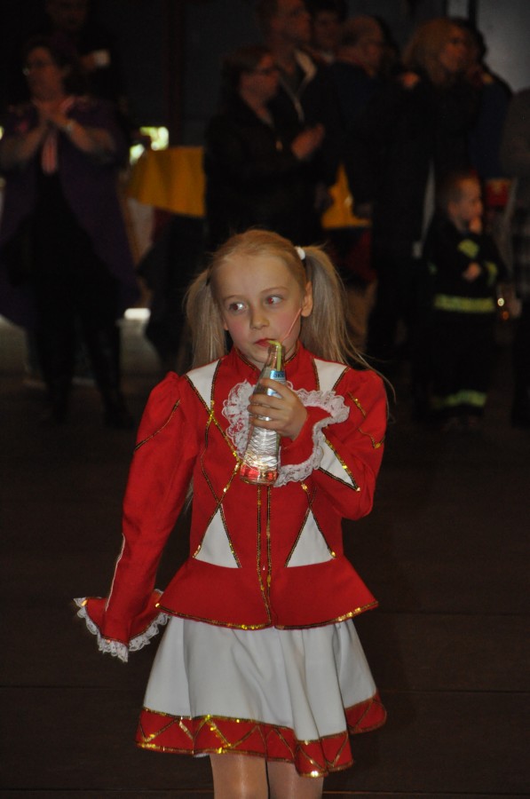 Foto Seniorenkarneval 2017