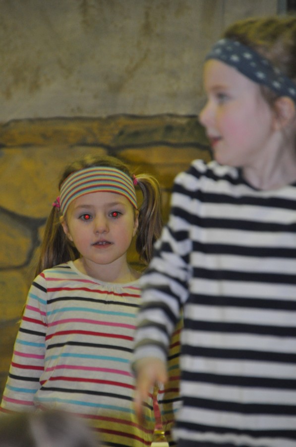 Foto Seniorenkarneval 2017