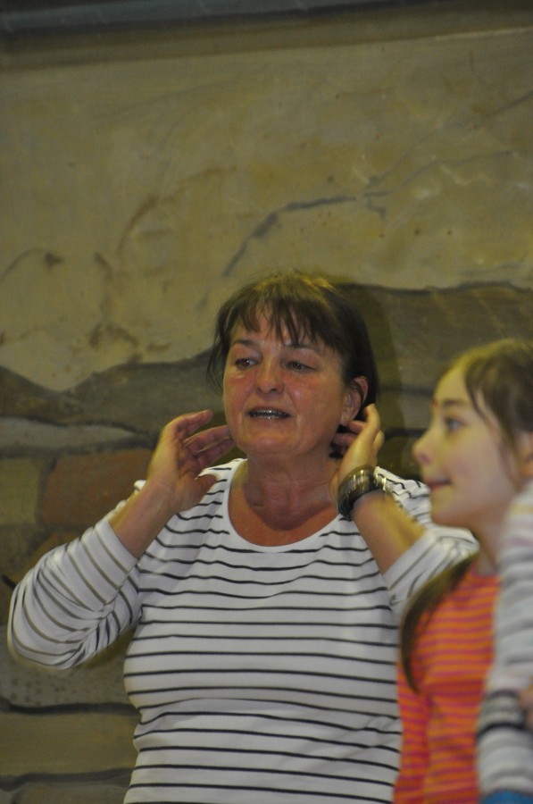 Foto Seniorenkarneval 2017