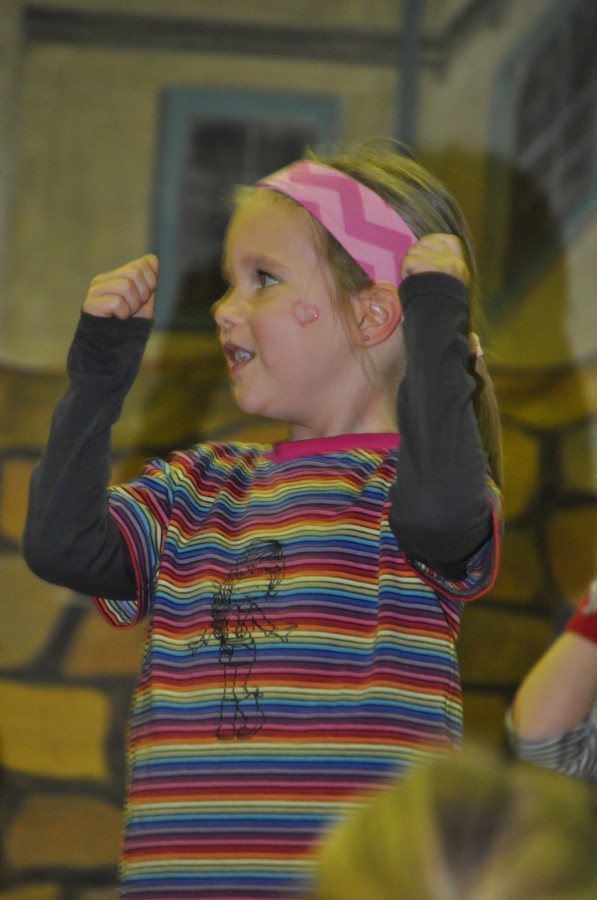 Foto Seniorenkarneval 2017