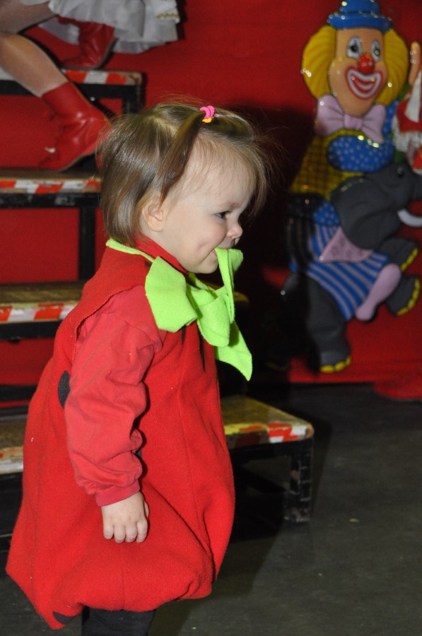 Foto Seniorenkarneval 2017