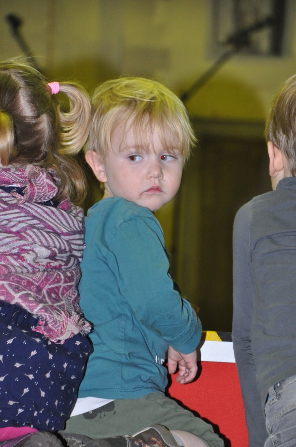 Foto Seniorenkarneval 2017