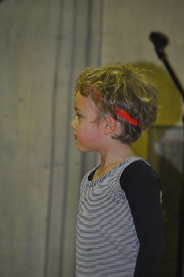 Foto Seniorenkarneval 2017