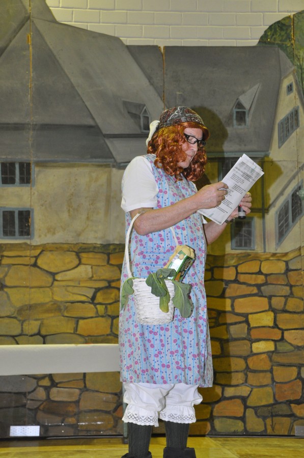 Foto Seniorenkarneval 2017