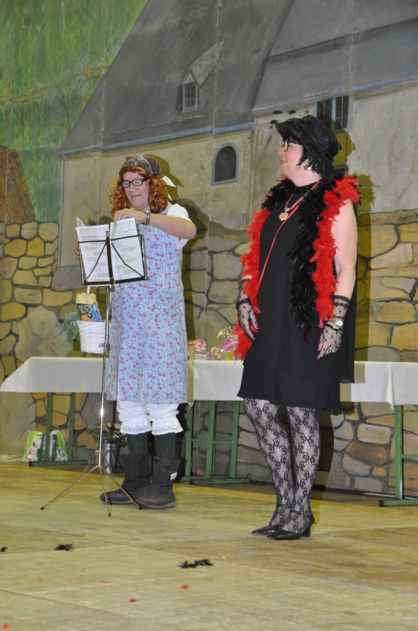 Foto Seniorenkarneval 2017