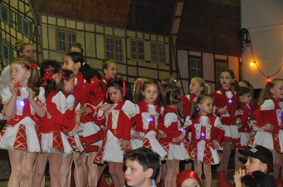 Foto Kinderkarneval 2017