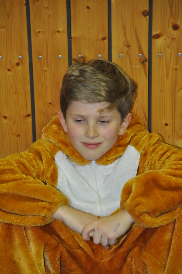 Foto Kinderkarneval 2017