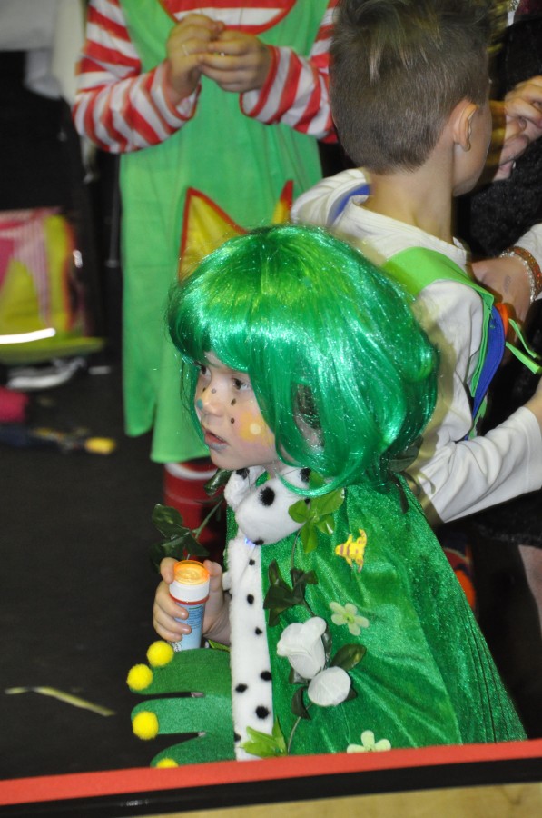 Foto Kinderkarneval 2017