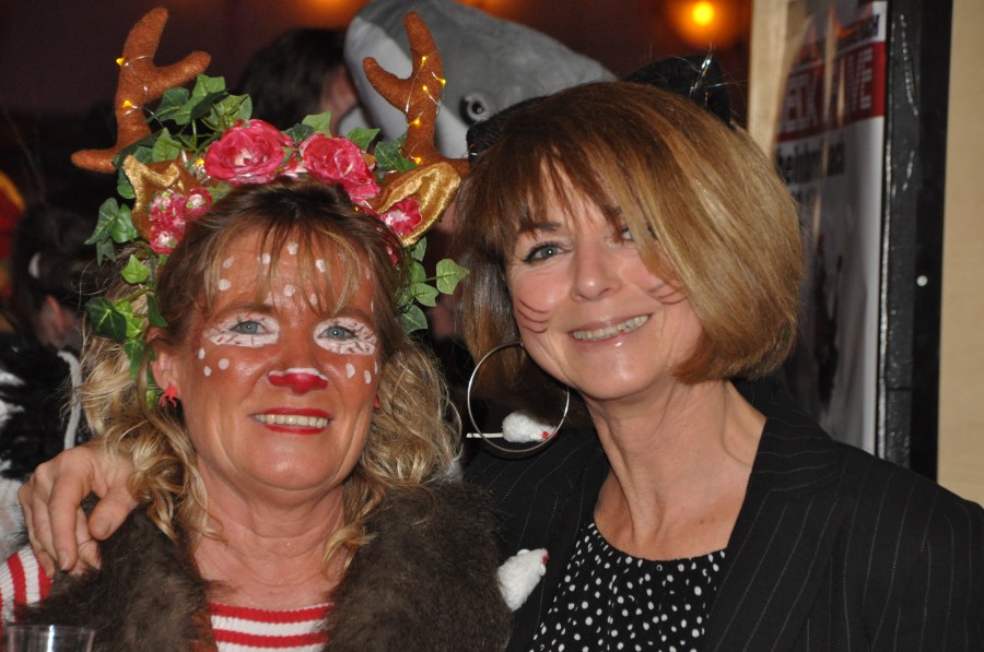 Foto SWR3-ElchParty 2017