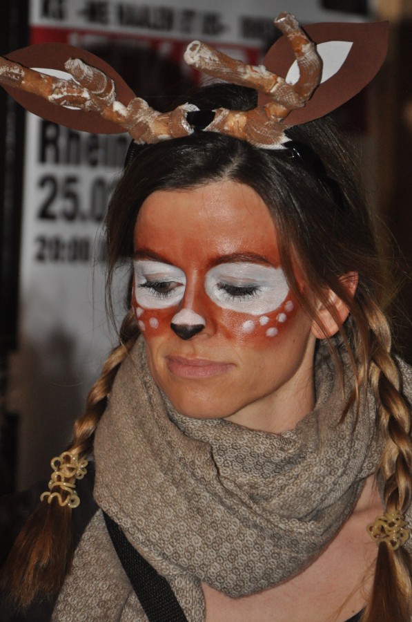 Foto SWR3-ElchParty 2017