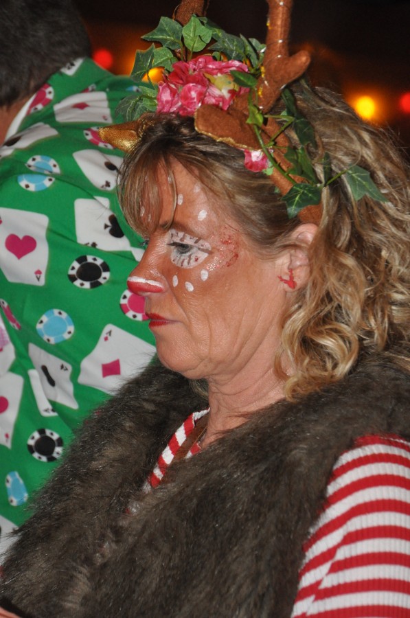 Foto SWR3-ElchParty 2017