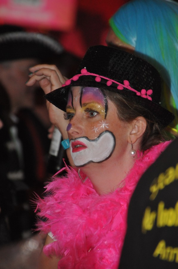 Foto SWR3-ElchParty 2017