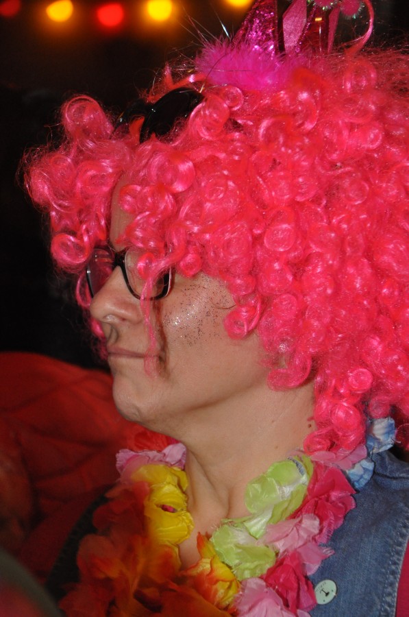 Foto SWR3-ElchParty 2017