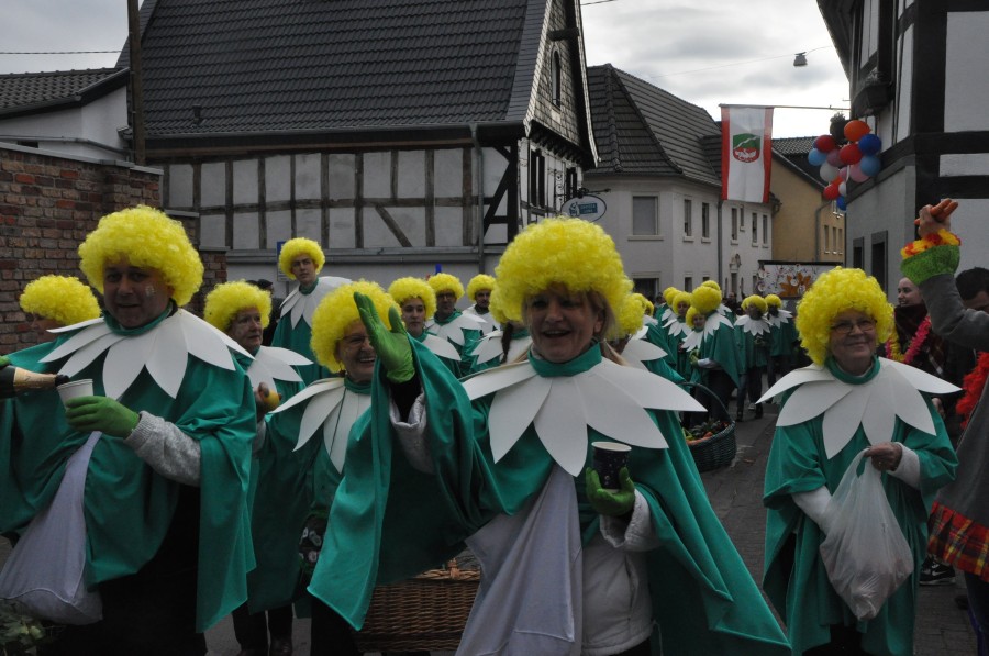 Foto Karnevalszug 2017