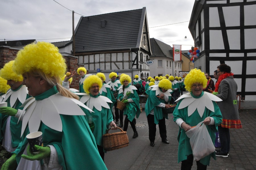 Foto Karnevalszug 2017