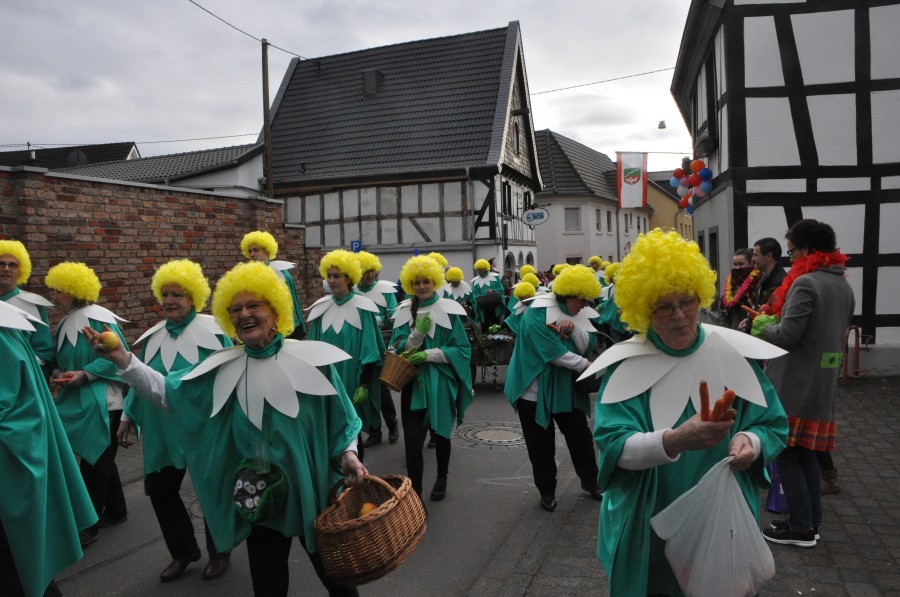 Foto Karnevalszug 2017