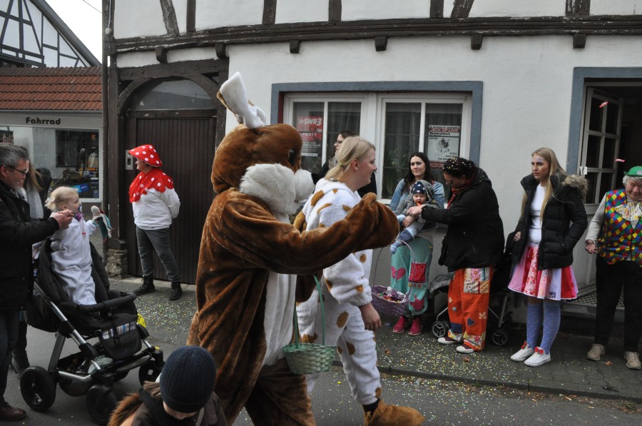 Foto Karnevalszug 2017