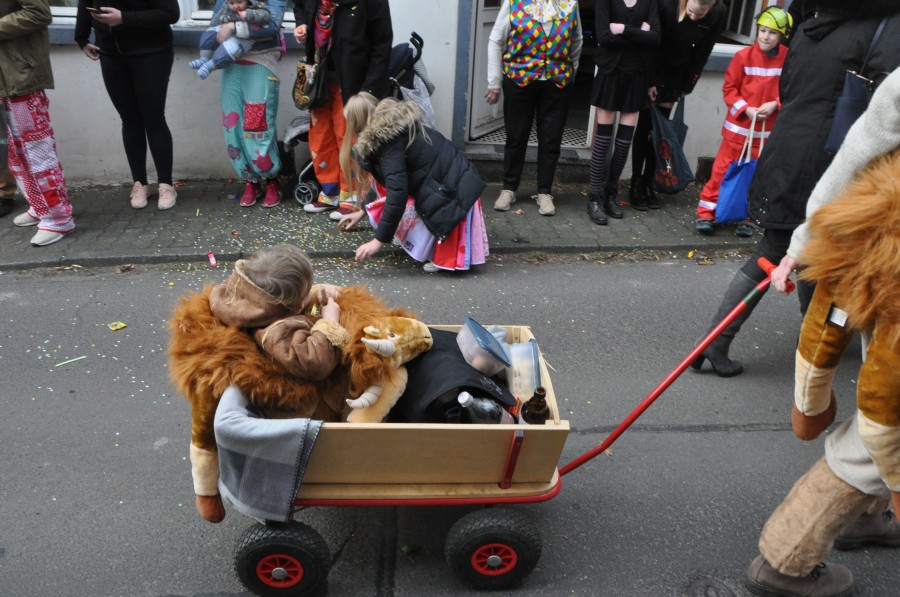Foto Karnevalszug 2017