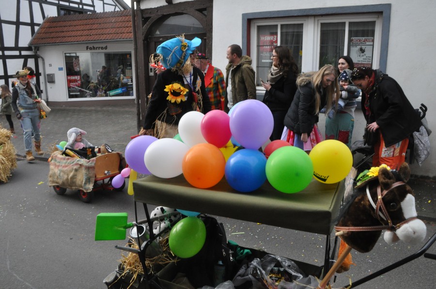 Foto Karnevalszug 2017