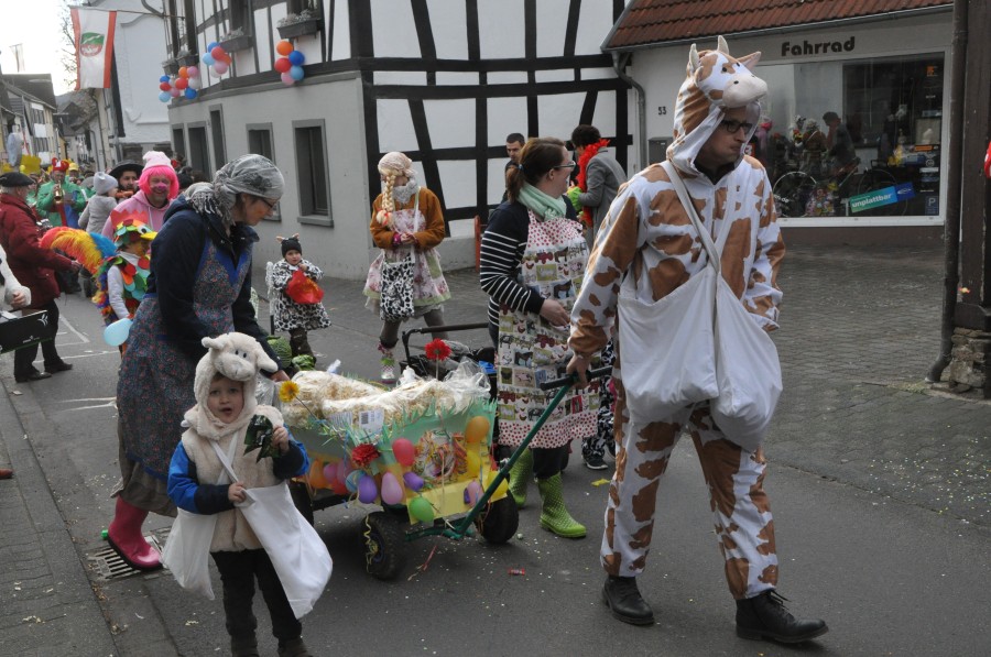 Foto Karnevalszug 2017