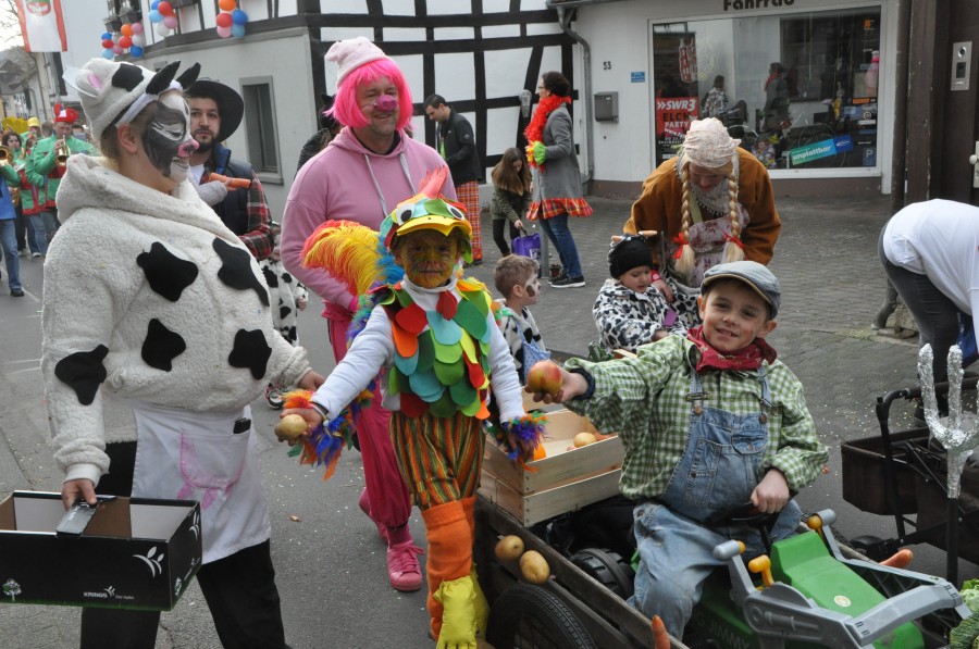 Foto Karnevalszug 2017