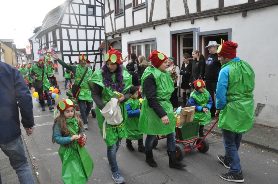 Foto Karnevalszug 2017