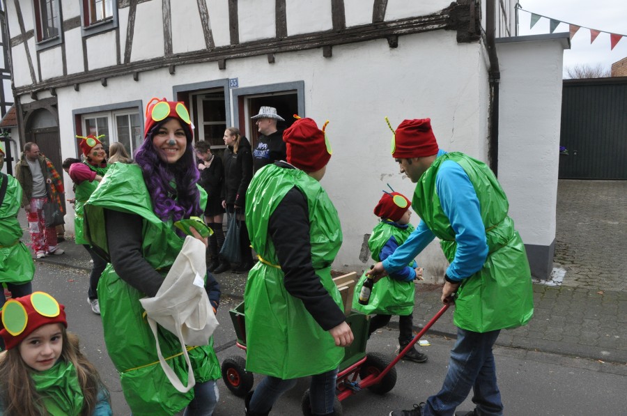 Foto Karnevalszug 2017