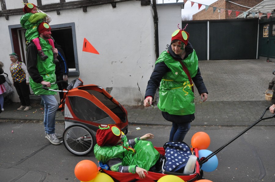 Foto Karnevalszug 2017