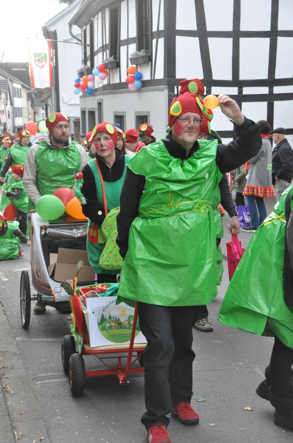 Foto Karnevalszug 2017