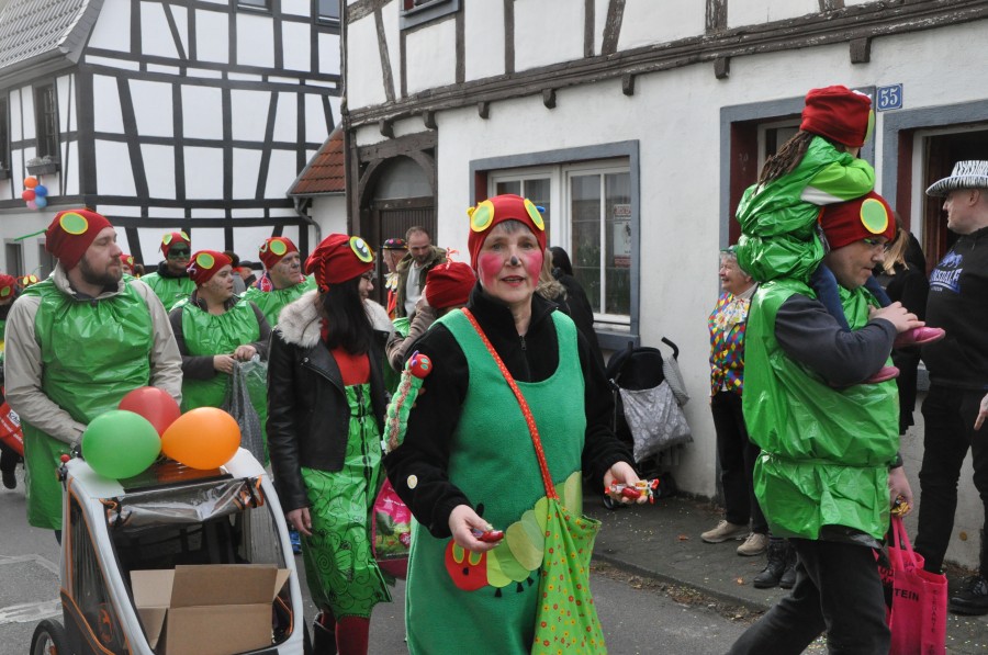 Foto Karnevalszug 2017