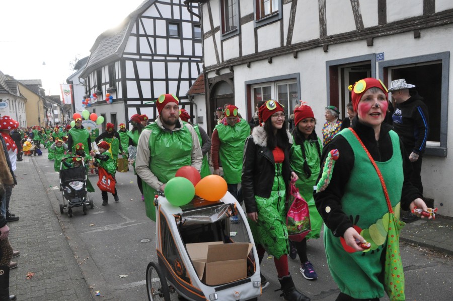 Foto Karnevalszug 2017