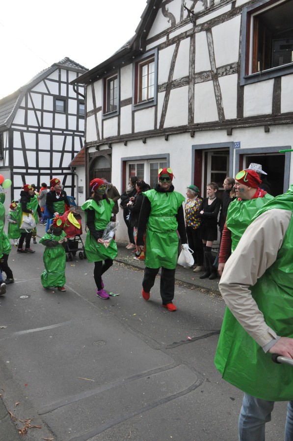 Foto Karnevalszug 2017