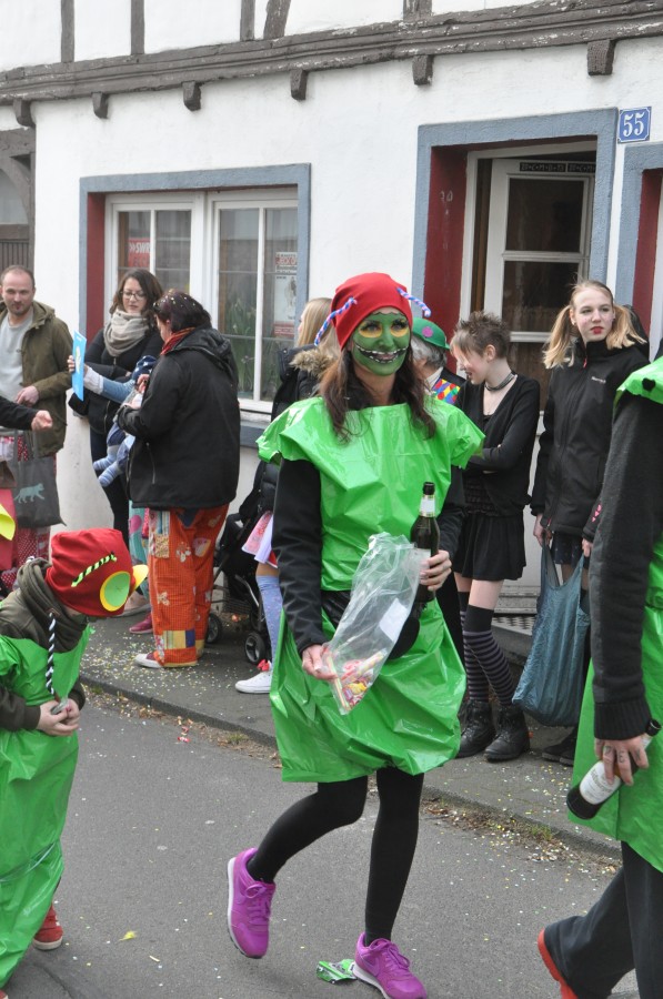 Foto Karnevalszug 2017