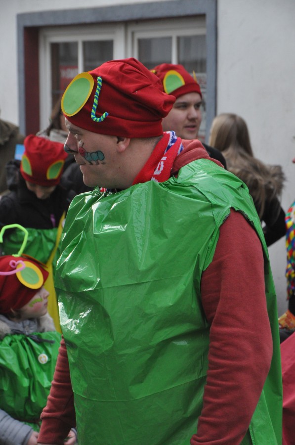 Foto Karnevalszug 2017