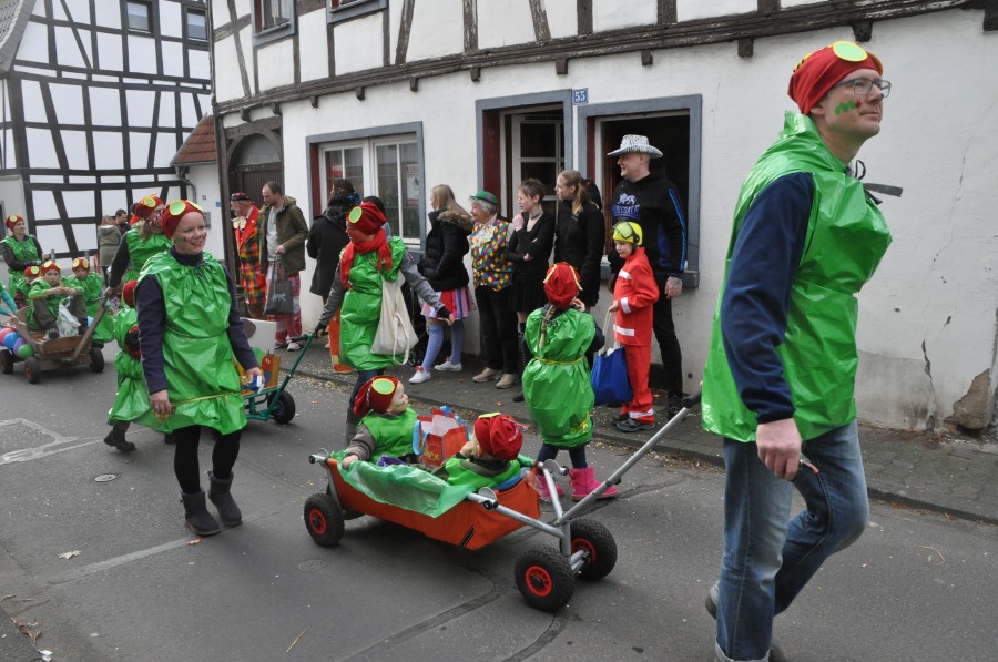 Foto Karnevalszug 2017