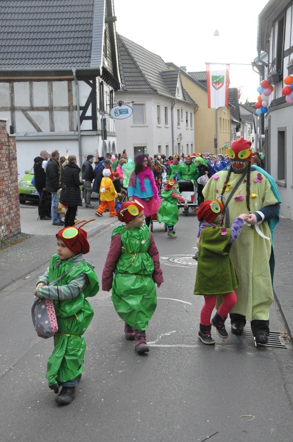 Foto Karnevalszug 2017