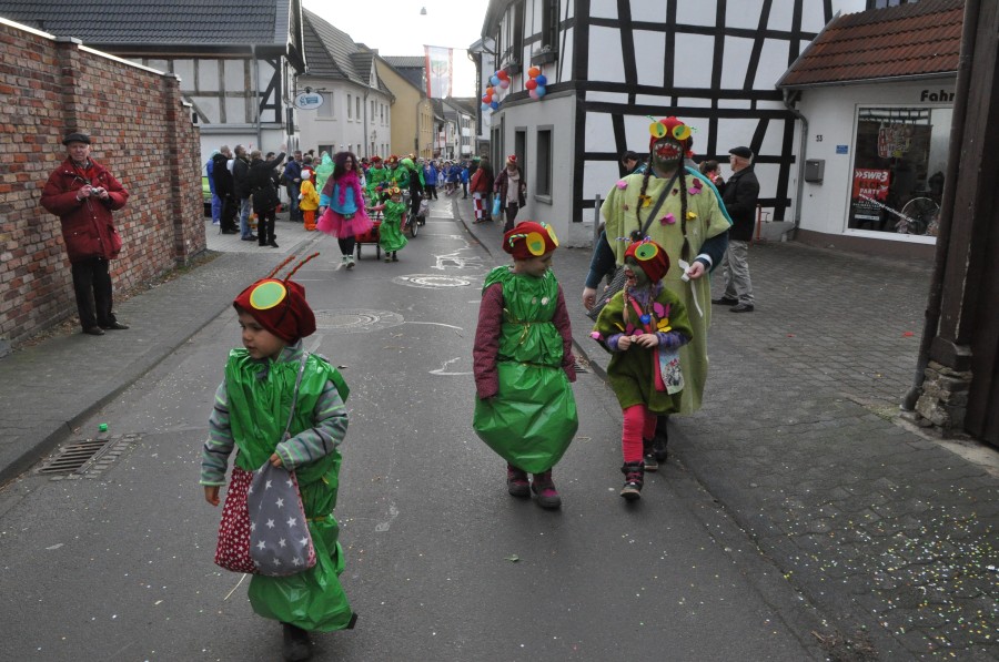 Foto Karnevalszug 2017