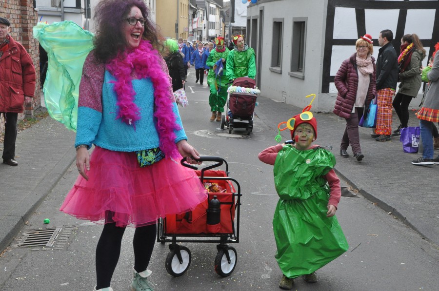 Foto Karnevalszug 2017