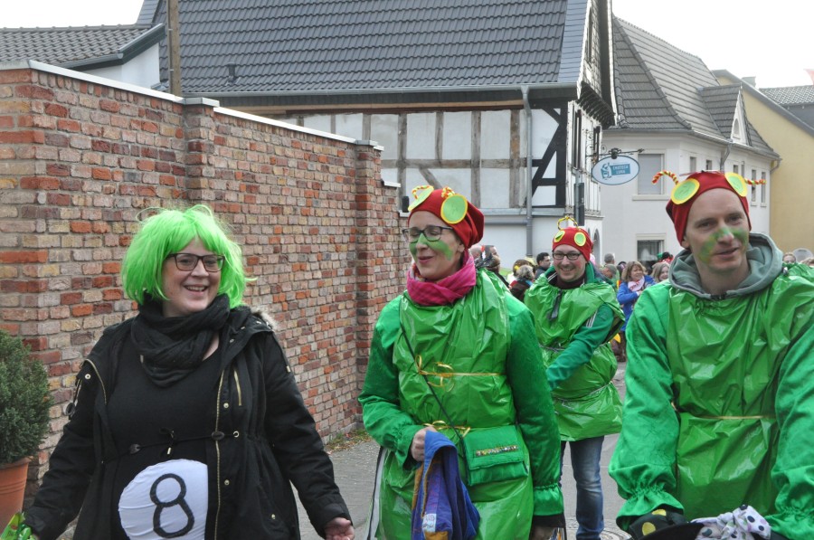 Foto Karnevalszug 2017