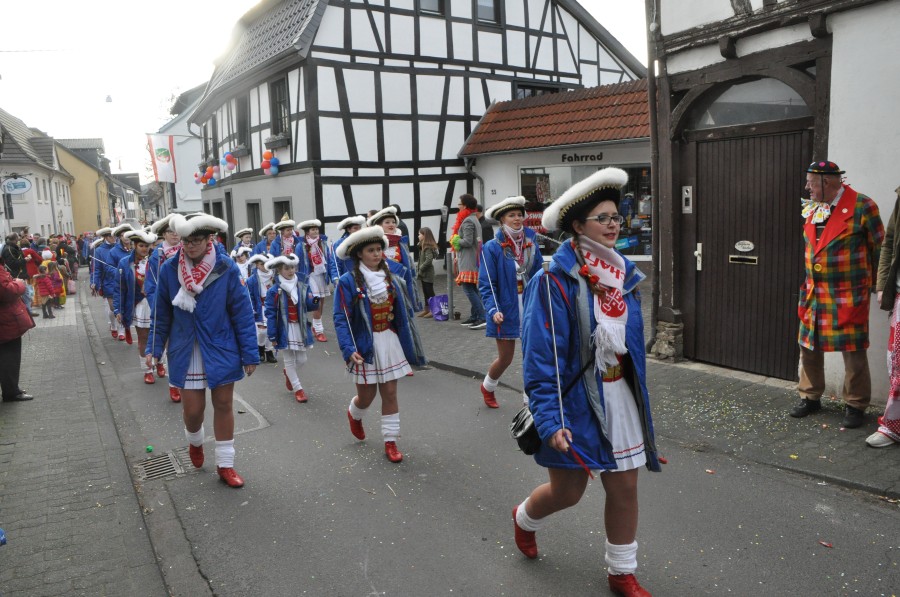 Foto Karnevalszug 2017